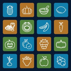 Set of 16 vegetarian outline icons