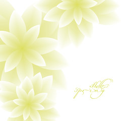 Hello Spring text with pastel shaded flowers on a white isolated background
