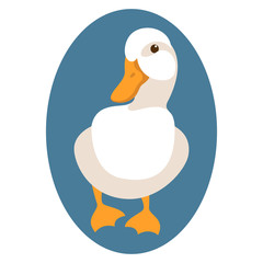 duck vector illustration style Flat front side