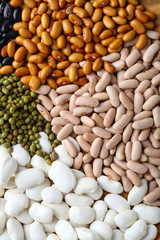 Lentils and mung pattern