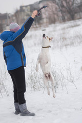 Mixed breed white dog doing high jump trying to catch up the rope in master's hand while playing in winter field