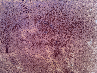 grunge, concrete, grungy, vintage, background, wall, cement, texture, gloomy, abstract, crack, retro, surface, old, scratched, dirty, frame, dark, street, blank, aged, rough, burnt, torn, burned, urba