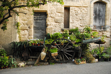 Fototapeta na wymiar Cart in French Village