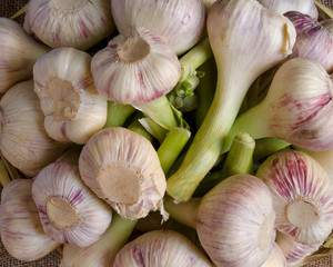 Mucchio di agli rossi