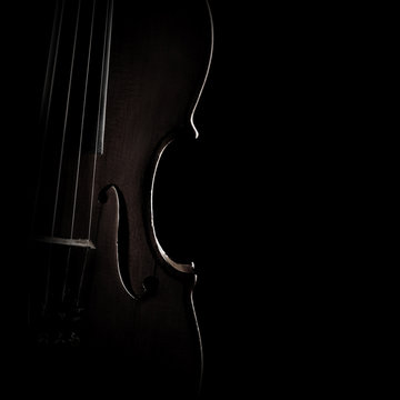 Violin close up Classical music instruments
