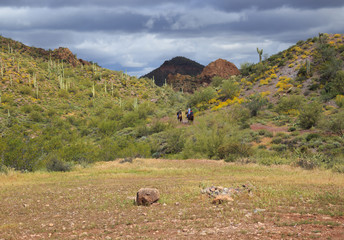 Riders on Horses in the Desert Southwest, Arizona, USA, horizontal