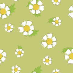 Vector background of chamomiles. Seamless pattern of white flowers on a green background. Suitable for printing on clothing and bedding