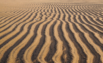 The sand on the Gulf of Finland near St. Petersburg. Russia. Summer 2016