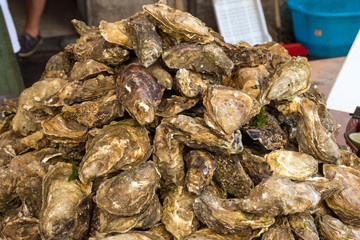 Fresh oysters for sale at a market in Palermo © elxeneize