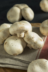 Raw Organic White Stuffing Mushrooms