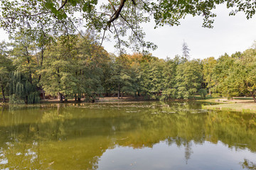 Fototapeta na wymiar Lake close to Schonborn Castle. Chynadiyovo, Ukraine.