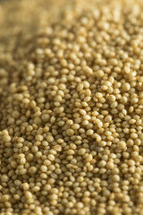 Raw Organic Amaranth Seed