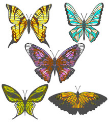 Plakat vector set of colorful hand-drawn butterflies