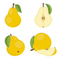 Vector pear. the whole fruit and cut in half.