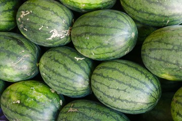 Wassermelonen