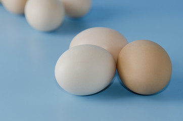 easter eggs on a blue background