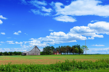 Obraz premium Farmland in rural Prince Edward Island, Canada..