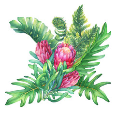 Ilustration of a bouquet with pink Protea flowers and tropical plants. Hand drawn watercolor painting on white background.