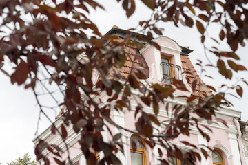 Fototapeta na wymiar Close up of a building through a tree