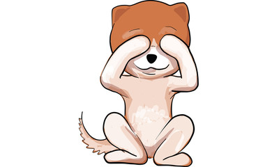 pomeranian