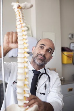 Doctor holding spinal disk while working in hospital