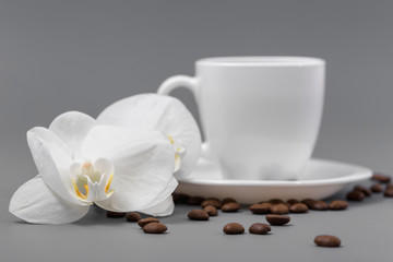 Fototapeta na wymiar Orchid and white cup of coffee on a gray background