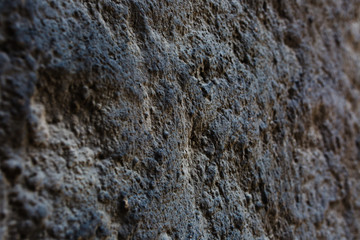 Gray and black decorative plaster