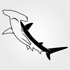Hammerhead Shark icon isolated on white background. - obrazy, fototapety, plakaty