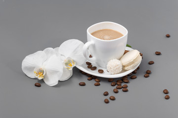 Orchid and white cup of coffee on a gray background