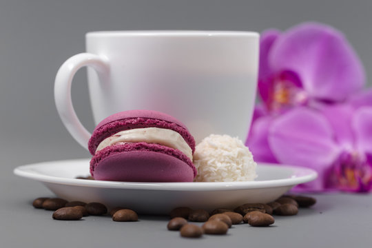 Fototapeta Orchid and white cup of coffee on a gray background