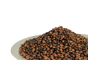 Closed up Roasted Barley on White Plate Isolated on White Background, Mugi Cha, Roasted Barley Tea 