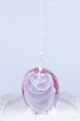 Juicy appetizing apples