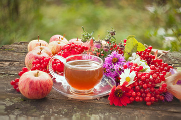 green tea in beautiful cup