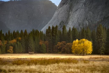 Fototapeten Yosemite Nationalpark © Bruce Shippee