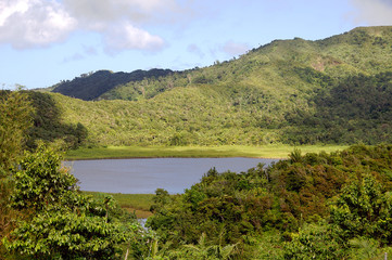 Fototapeta na wymiar Grenada island - Grand Etang National Park - Grand Etang Lake