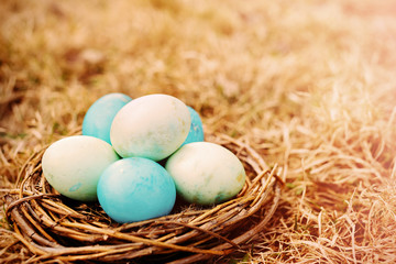 Naklejka na ściany i meble Painted Easter eggs in the nest