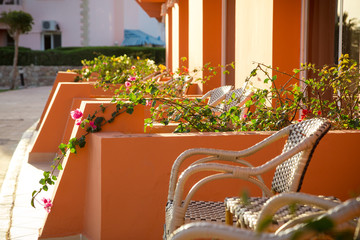 wicker chairs and flowers on hotel's terrace in sunlight