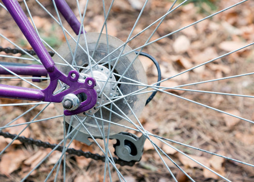 Bicycle rear hub, purple frame and wheel