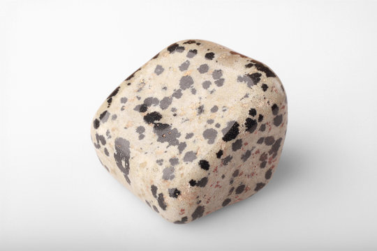 Polished stone Dalmatian on a white background.