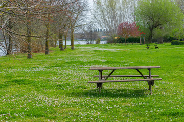 Prato fiorito con tavolo da picnic in riva al lago di Bolsena.
