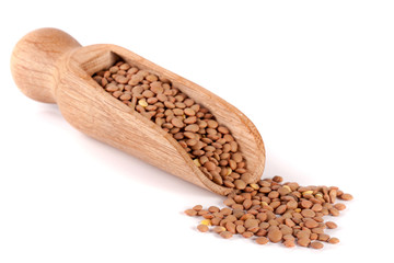 lentils in a wooden scoop isolated on white background