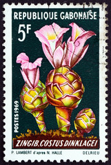 Postage stamp Gabon 1969 Costus Dinklagei, African Plant