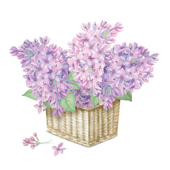 Watercolor pink and purple lilac bouquet in basket - 141918129