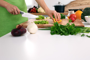 Close up of  woman's hands cooking in the kitchen. Housewife slicing ​​fresh salad. Vegetarian and healthily cooking concept