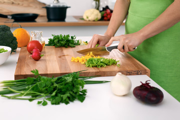 Close up of  woman's hands cooking in the kitchen. Housewife slicing ​​fresh salad. Vegetarian and healthily cooking concept