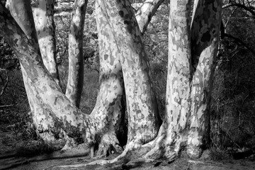 Montezuma Castle and Well in Arizona