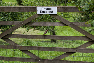 The plate with the inscription "Private Keep out" hanging on the gate and little bird Robin sitting on the gate