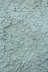  Patterned cement surface.