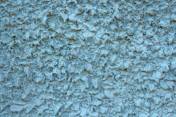  Patterned cement surface.