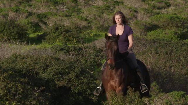 Adult equestrian woman cantering English style Thoroughbred horse on a mountain trail long lens slow motion golden hour light SDF3